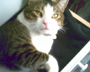 pict0002.jpg